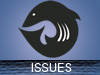 Issues